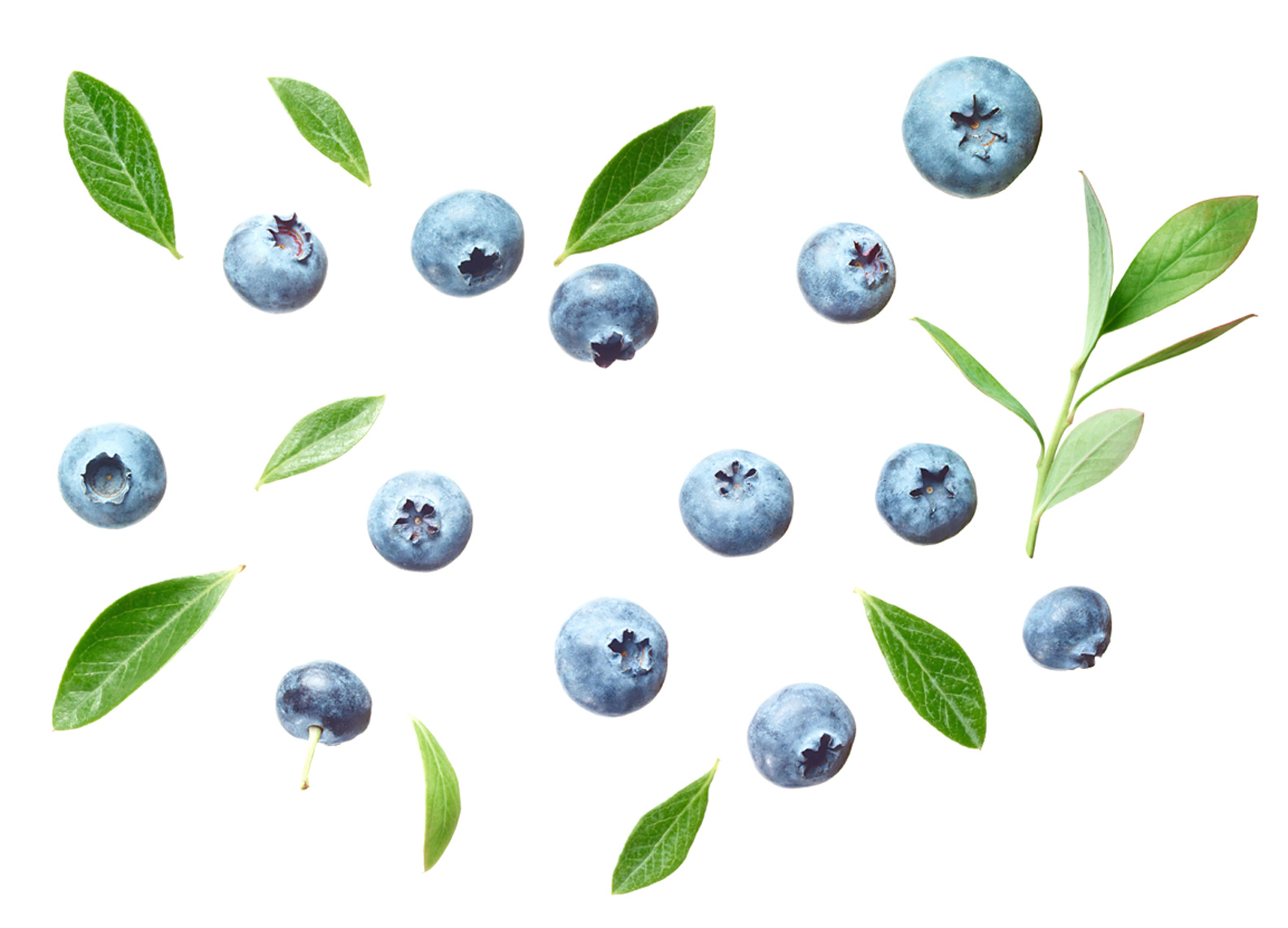 Blueberry_2012_07-DUP.jpg