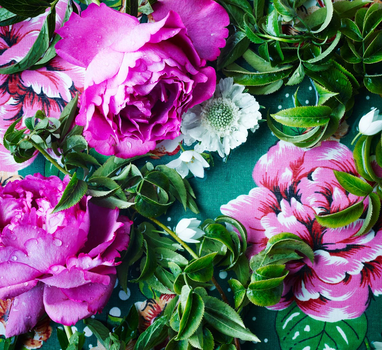 Flowers_53011
